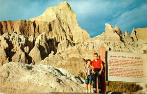 South Dakota Badlands Leaves Of Time Fossil Bones
