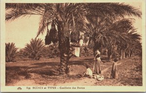Algeria Scenes Et Types Cueillette des Dattes Vintage Postcard C182