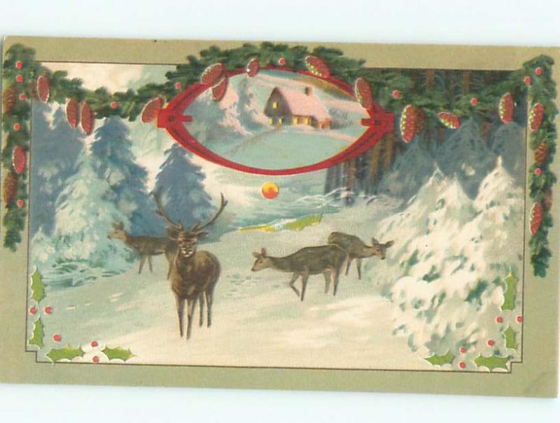 Divided-Back ANIMAL SCENE Great Postcard AA9576