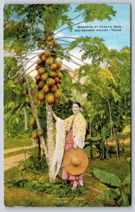 Texas~Rio Grande Valley~Senorita Lady w/Hat~Papaya Tree~Linen 1940s Postcard