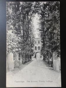 c1909 Cambridge: The Avenue, Trinity College