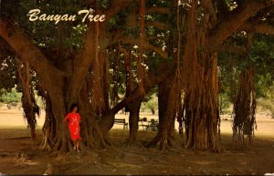 Hawaii Maui Lahaina Banyan Tree