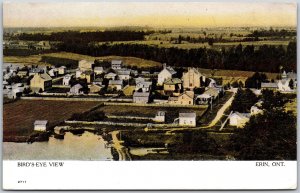 Postcard Erin Ontario c1907 Birds Eye View of Town Wellington County by Warwick