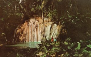 Vintage Postcard Typical Jamaican waterfall Jamaica Pub The Novelty Trading Co