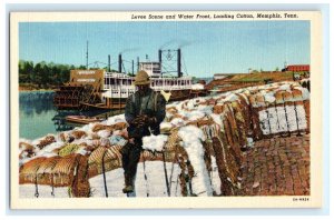 Levee Water Front Loading Cotton Paddle Steamer Memphis TN Postcard (DW4)
