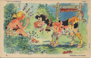 Nudist Colony Humor, Comic 1930-45 Teich Linen, Nude Woman, Funny Cow, Risque