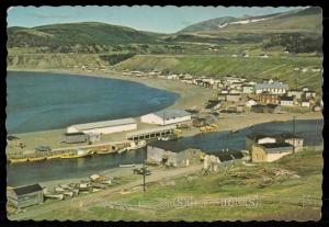 Fishing community of Trout River on Newfounland's West Coast