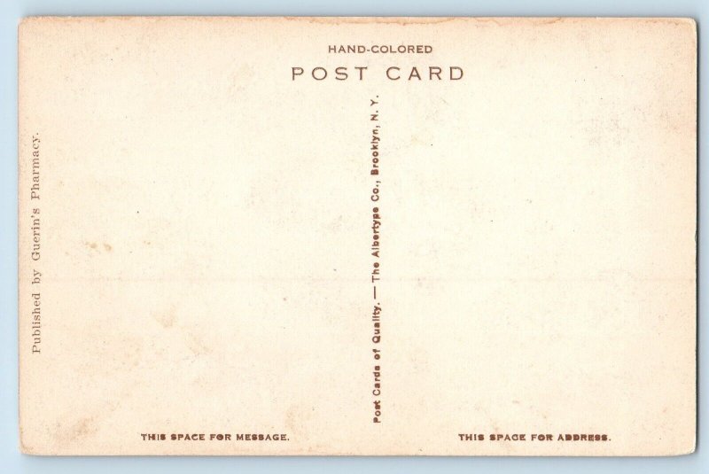 1940 Summerville South Carolina Vintage Postcard Pine Forest Inn Entrance Drive