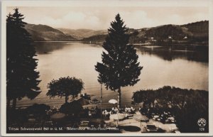Germany Titisee Schwarzwald Seeterrasse Wolfs Hotel Titisee Vintage RPPC C130