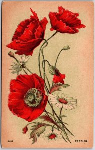 1909 Poppies Stunning Red Petals Large Print Posted Postcard