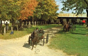 Old Order Mennonite Courting Buggy or Bachelor Buggy in Lancaster County, PA