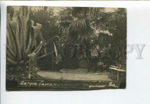 435873 Georgia Batum botanical garden Agave Vintage photo postcard