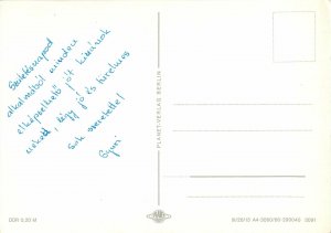 Flowers nature  rose red  Postcard