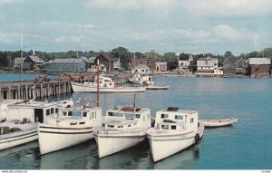 NEW BRUNSWICK, Canada, 1950-1960's; Fishing Boats In Harbour