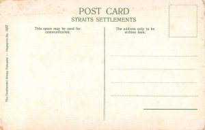 Singapore Tapping Rubber Trees Vintage Postcard AA25376