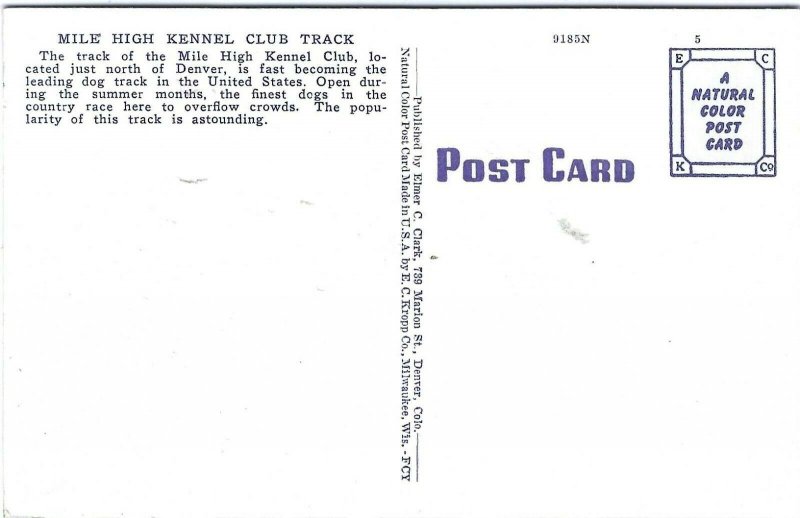 Linen postcard, the Mile High Kennel Club Track, Denver, Colorado 