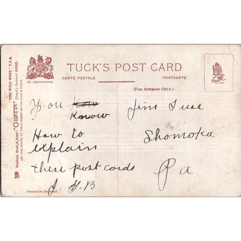 NECK or NOTHING - Raphael Tuck Oilette HARRY PAYNE Original c1908 Postcard