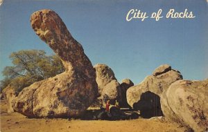 Famous Dinosaur Rock between Deming and Silver City - Deming, New Mexico NM