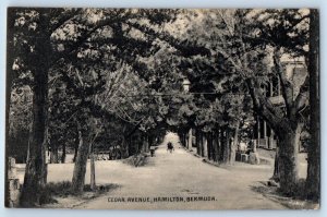 Hamilton Bermuda Postcard Scene in Cedar Avenue c1910 Posted Antique