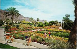 Camelback Inn Phoenix AZ Arizona Hotel UNUSED Vintage Postcard D83