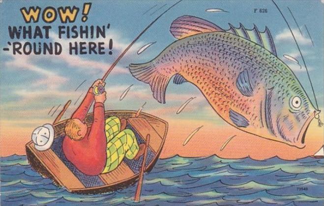 Fishing Humour Wow What Fishin' 'Round Here