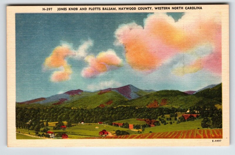 Jones Knob & Plotts Balsam Haywood County Western North Carolina Linen Postcard