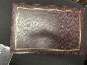 Vintage Faux  Snake  Skin Post Card Album