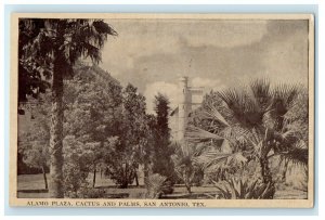 1909 Alamo Plaza, Cactus and Farms, San Antonio Texas TX Antique Postcard