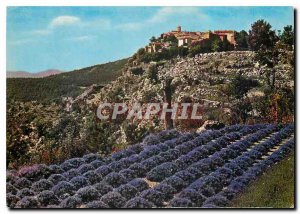 Modern Postcard Gourdon Field of Lavender and Old Village