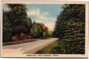 Greetings from Norway, Maine c1945 Vintage Postcard H19