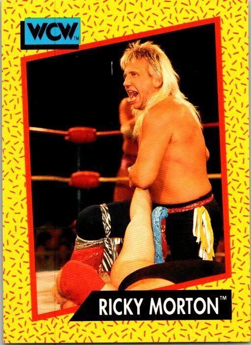 1991 WCW Wrestling Ricky Morton sk2118