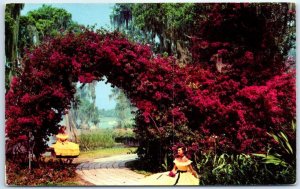 M-43192 Arbor of Purple Bougainvillea at Florida Cypress Gardens USA