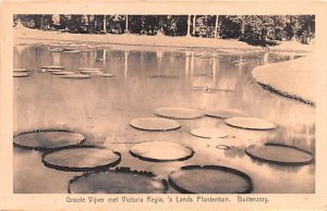 Groote Vijver met Victoria Regia Lands Plantentuin Buitenzorg Indonesia, Repu...