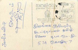 Entier Postal Stationery Postal Sri Lanka Ceylon Lion