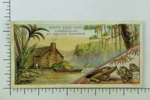 1880's-90's Ayer's Ague Cure Bayou Scene Anthropomorphic Frogs Alligator P92