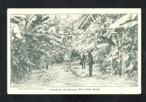 WEST PALM BEACH FLORIDA GRAPEFRUIT * BANANA TREES VINTAGE POSTCARD REAL ESTATE