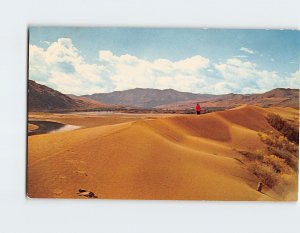 Postcard Columbia River Sand Dunes Washington USA