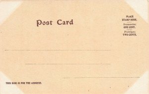 Hudson River Day Steamer New York,  early postcard, undivided back, unused