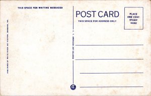 Branson Missouri - Mt. Branson Lodge postcard