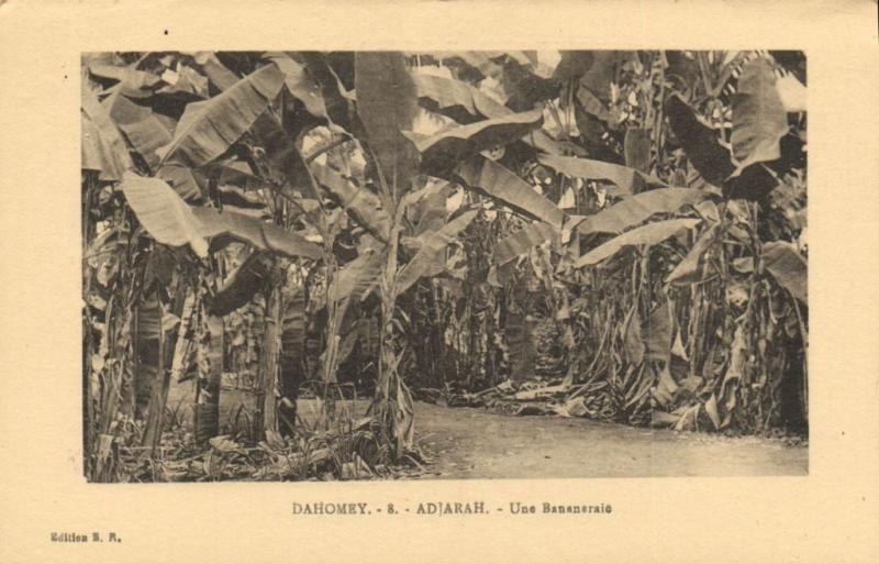 CPA Dahomey Afrique - Adjarah - Une Bananeraie (86818)