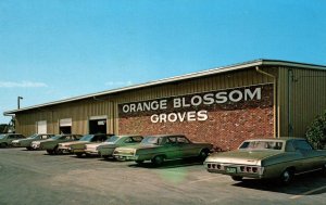 Orange Blossom Groves,Seminole,FL BIN