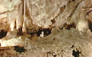 Vintage Postcard Papoose Scenic Room Carlsbad Caverns National Park New Mexico