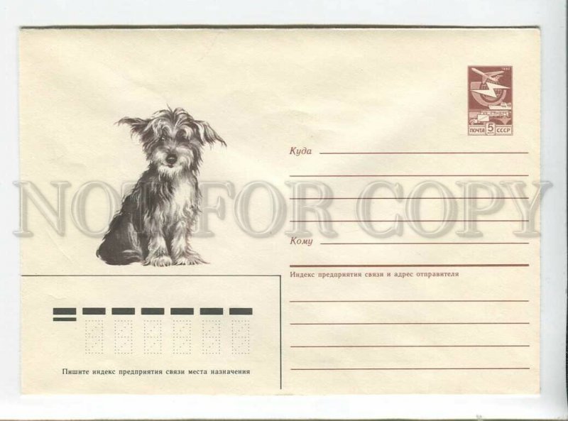 3178943 USSR Dog POSTAL COVER