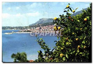 Old Postcard Menton General view