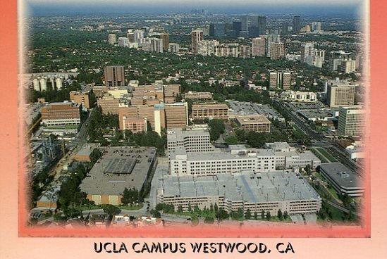 UNIVERSITY OF CALIFORNIA