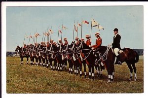 Bengal Lancers, Halifax, Nova Scotia Horseback Riding