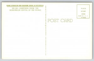 Banner Greeting~Niagara Falls New York~Day & Night Scenes~1957 Postcard