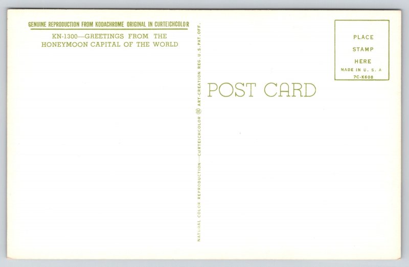 Banner Greeting~Niagara Falls New York~Day & Night Scenes~1957 Postcard