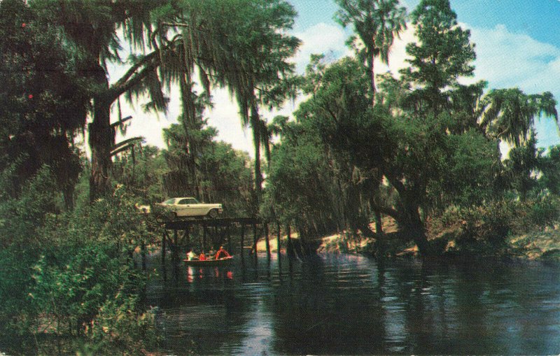 Postcard Riverdale Brooksville Florida Riverfront Community River Overpass