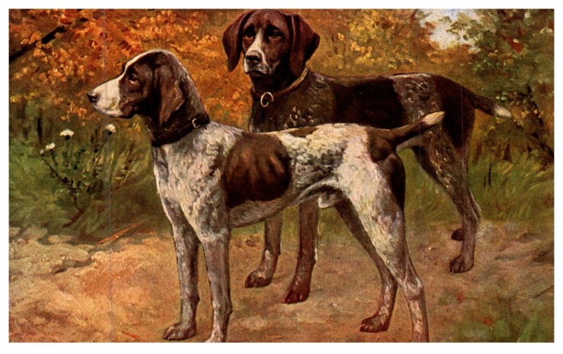 Dog ,  Spaniels